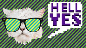 Meet your Posher, Abigail